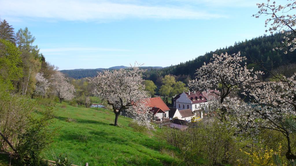 Penzion Padrtuv Mlyn Třebíč エクステリア 写真